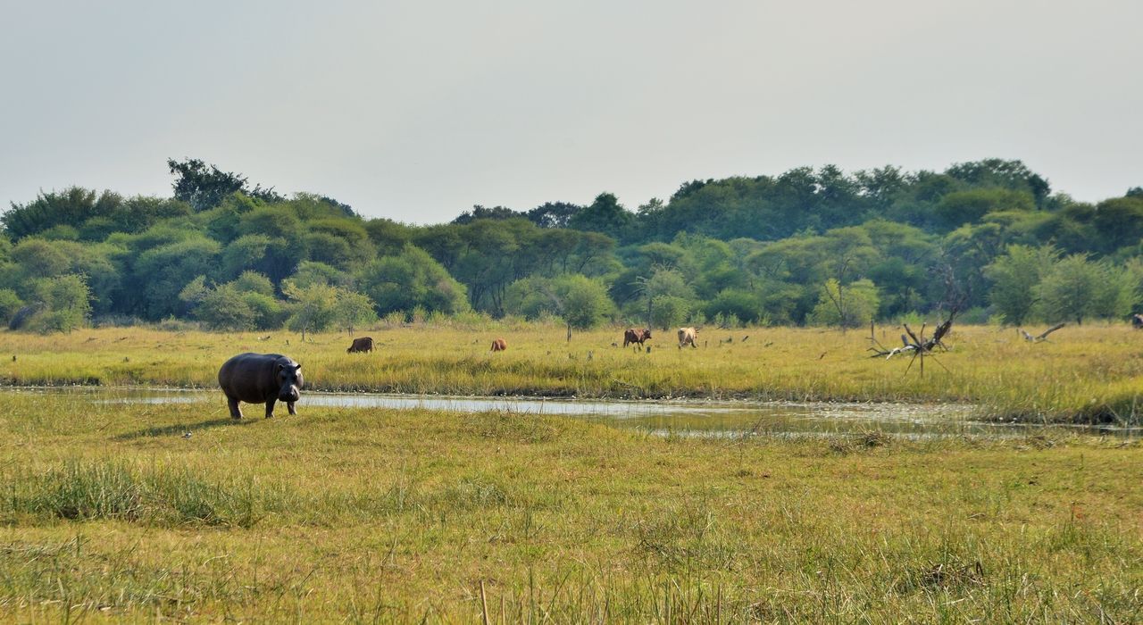 CRESTA MAUN MAY 2018 (104).jpg